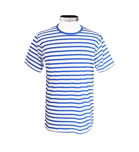 Men's T-shirt, white/ blue